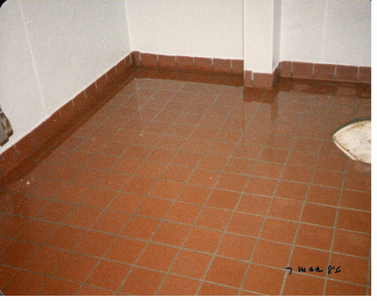 A production room, tiled and ready to wash down.